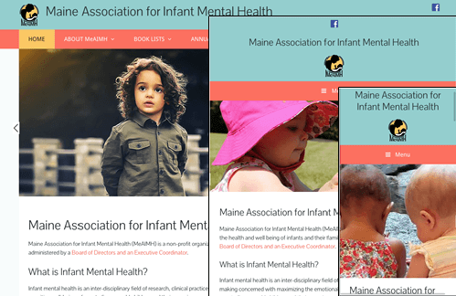 Maine Association of Infant Mental Health